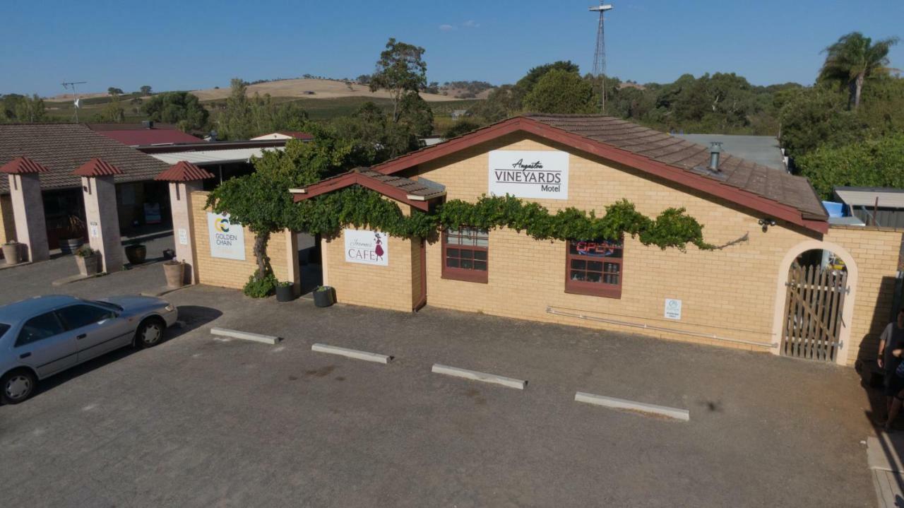 Angaston Vineyards Motel Экстерьер фото