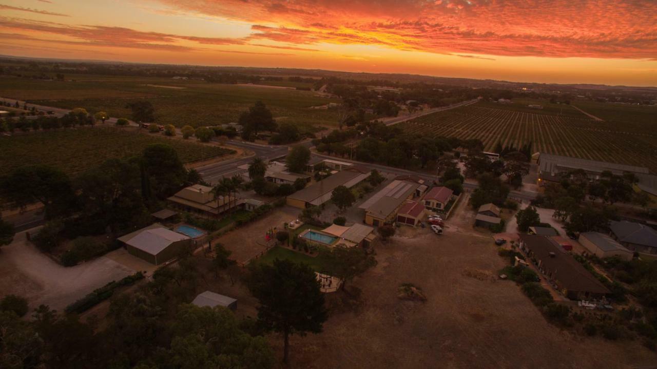 Angaston Vineyards Motel Экстерьер фото